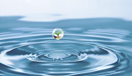 喜報 | 海星股份成功獲評“江蘇省節(jié)水型企業(yè)”！