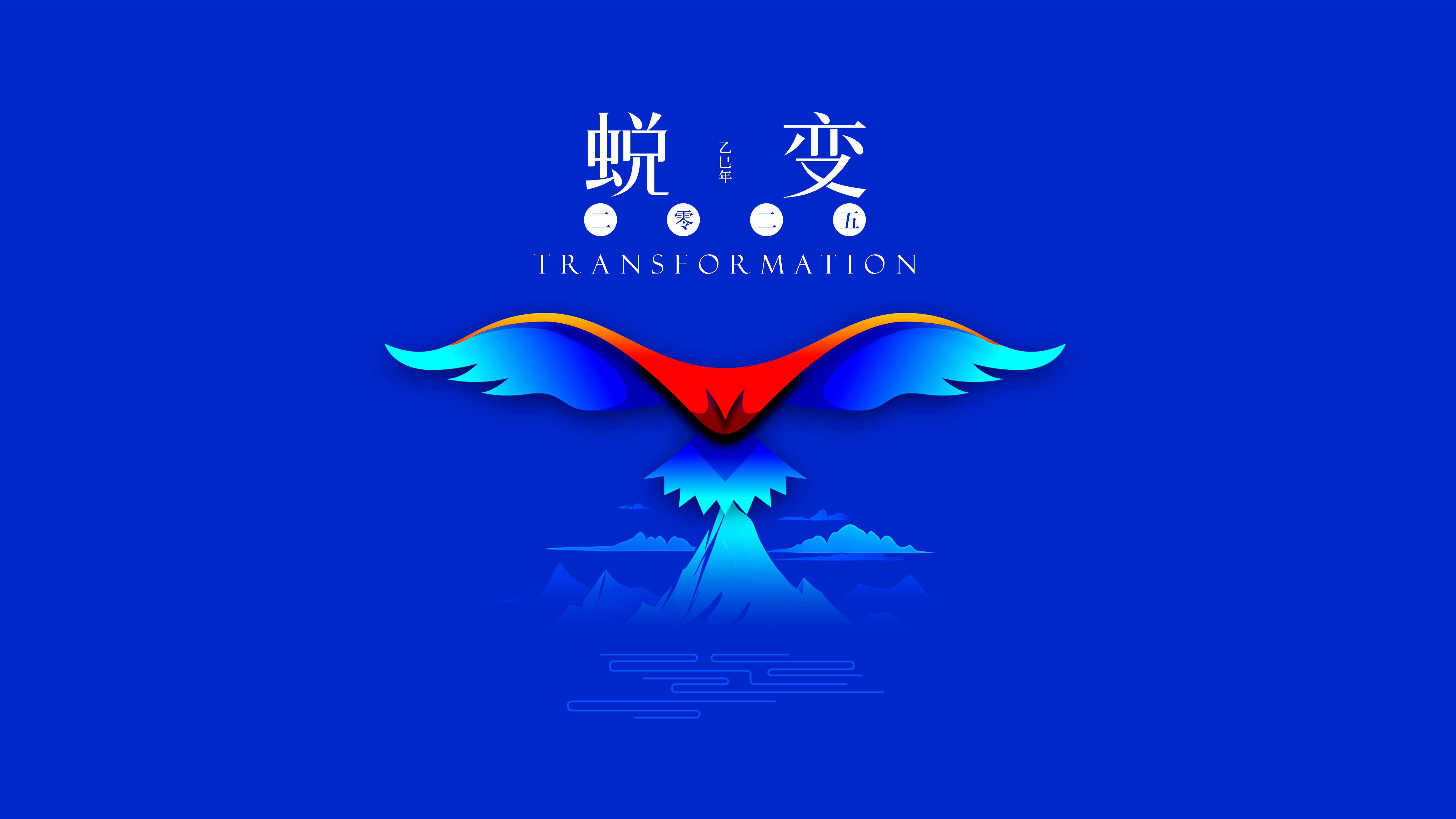 我與海星的2024，期待2025年與您一起續(xù)寫美好篇章